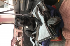 w3Ykly2GS%iaMWznJsteyQ