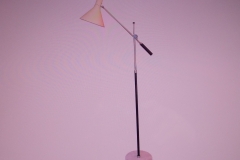 DSCN7897