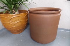 DSCN8167