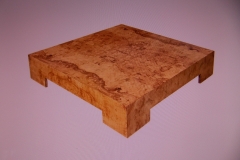 DSCN8385