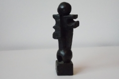 DSCN8500