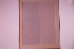 DSCN8872