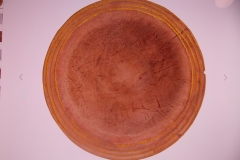 DSCN8894