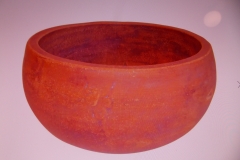 DSCN8915